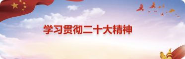 学习贯彻二十大精神
